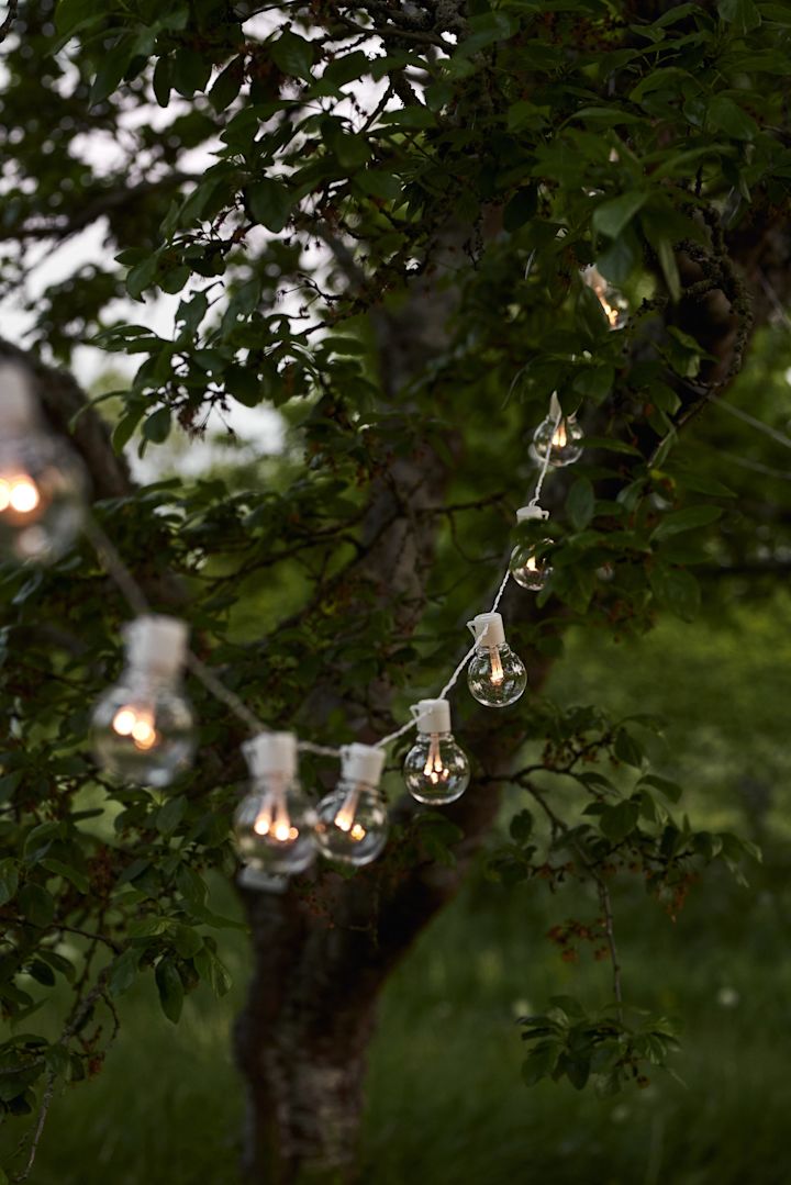 De Partaj witte sprookjeslampjes van Star Trading werden tussen de bomen gehangen om een gezellig licht te creëren.