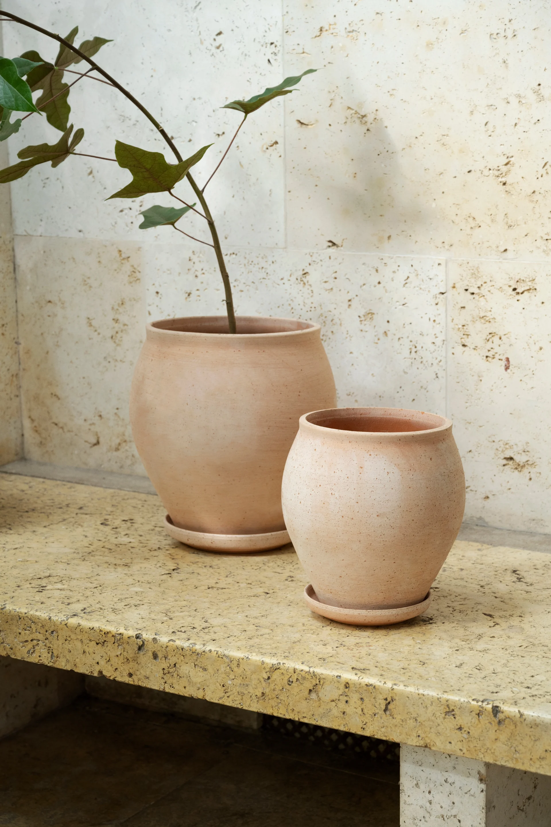 Twee ongeglazuurde terracotta potten, een grotere met een groenbladige plant en een kleinere, staan op een getextureerde stenen ondergrond tegen een getextureerde muur.