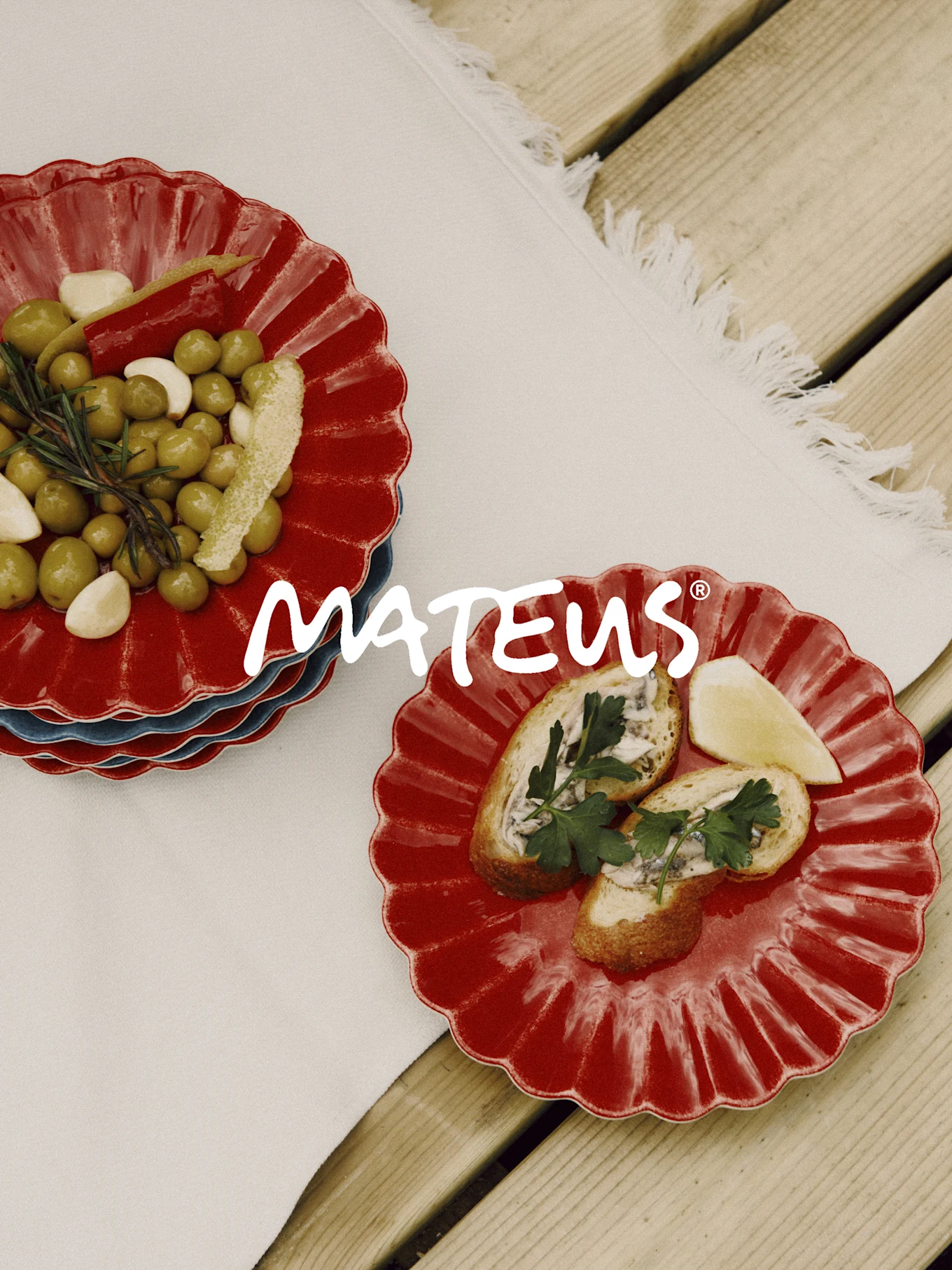 Rode geschulpte borden met olijven, knoflook, rozemarijn en brood met ansjovis op een houten tafel. MATEUS-merk.
