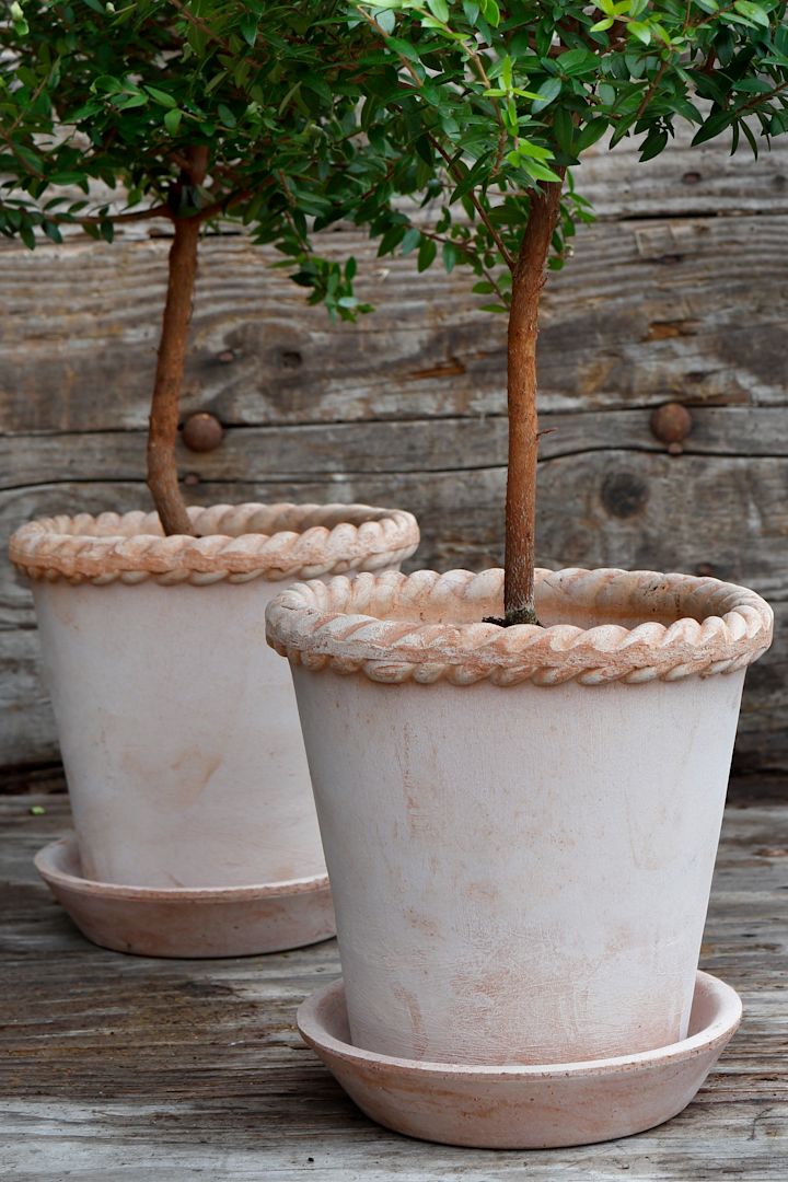 Hier zie je twee roze Emilia bloempotten van Bergs Potter, elk met een boompje erin, op een terras staan.