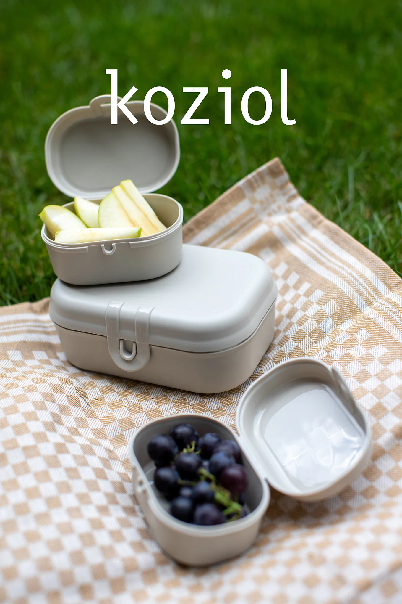 Drie lichtbeige voedselcontainers op een geruite deken met appels en druiven, op gras. Tekst: koziol.