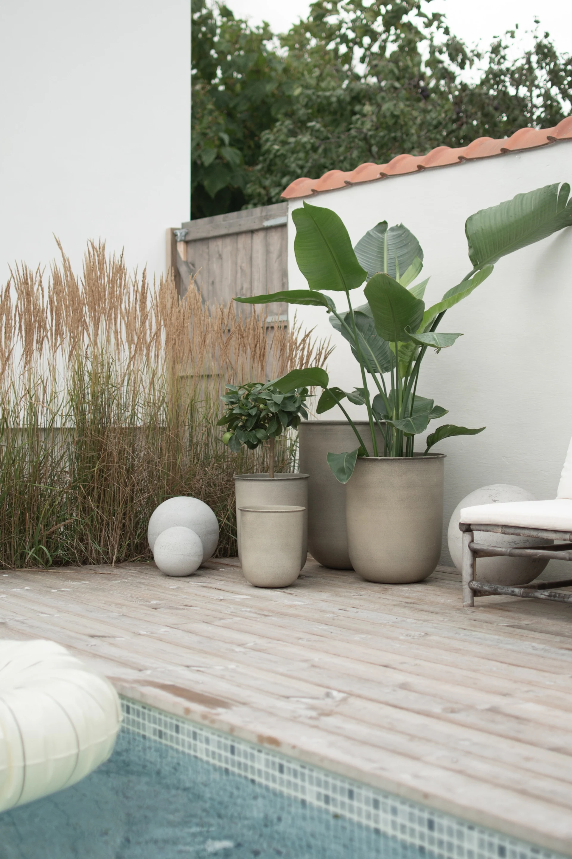 Buiten houten terras aan zwembad met grote potplanten, hoog gras, decoratieve betonnen bollen en een witte ligstoel.